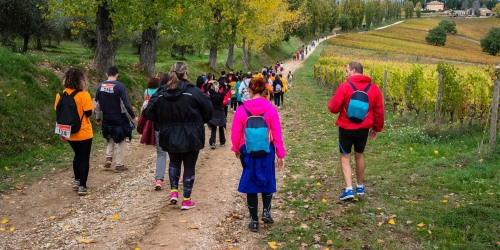 Una gara trail nelleâ€¦cantine di vino