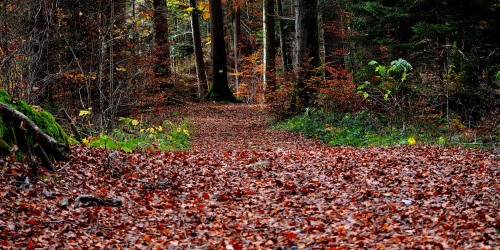 Gare Trail: Nel Lazio 2 eventi da non perdere