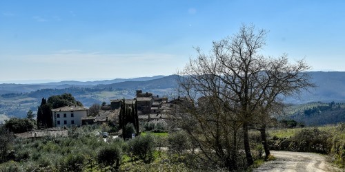 Gare Trail 2021: rinviata a maggio la Chianti Ultra Trail